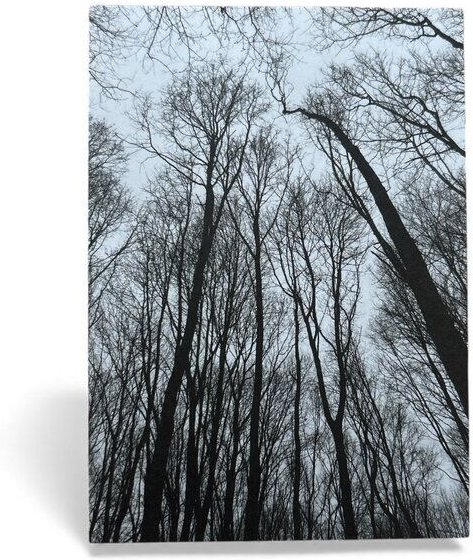 ilovemixtapes A6 Postkarte „Forest“ – Minimalistisches Waldmotiv auf PEFC-zertifiziertem Offsetpapier