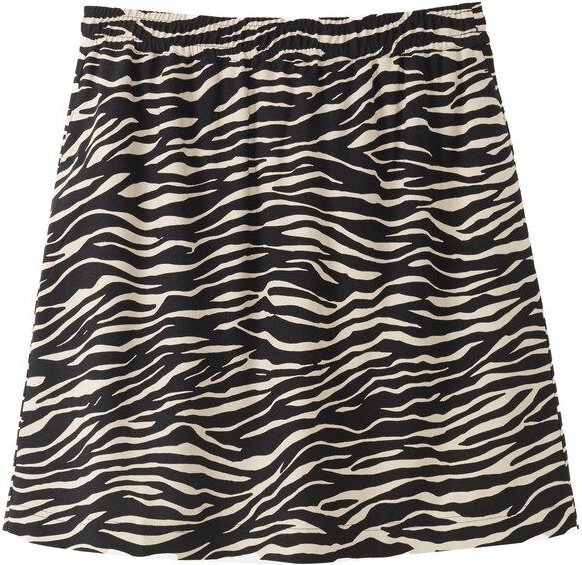 recolution Mini-Rock ZEDOARY ZEBRA