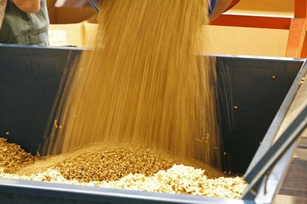 Speltex Nackenkissen mit Hirseschalen und Kautschuk