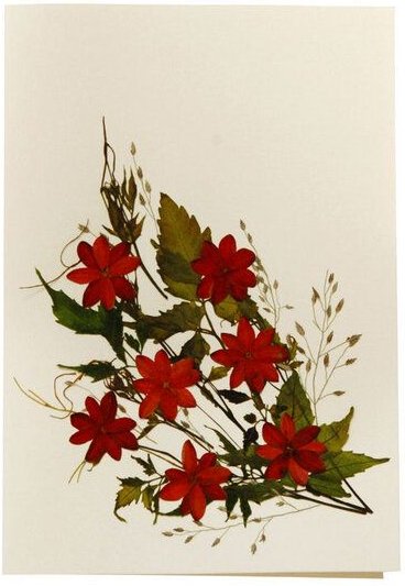 GLOBO Fair Trade Grußkarte Wildblumen DAHLIA II