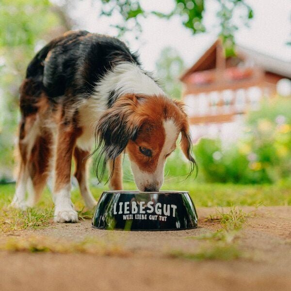 Liebesgut Tiernahrung Probierpaket Hund Junior 6 x 400 g