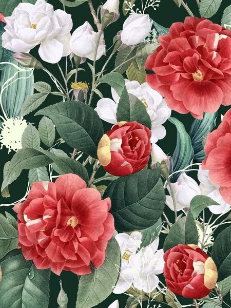 Photocircle Poster / Leinwandbild - Botanical Wonder