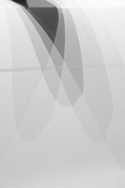 Photocircle Poster / Leinwandbild - Beauty is in the details