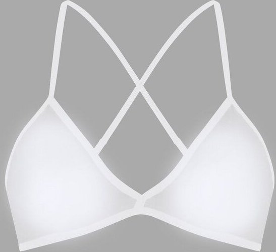 Frija Omina Bio BH hell