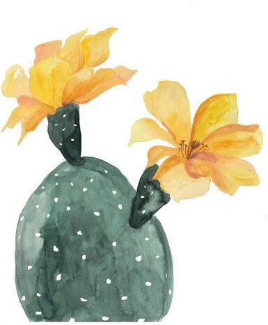Photocircle Poster / Leinwandbild - Mantika Botanical Kaktusblumen gelb
