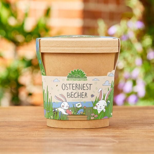 Die Stadtgärtner Osternest aus dem Becher I Ostergeschenk für Kinder I Geschenk für den Frühling und Garten I Osternest ...