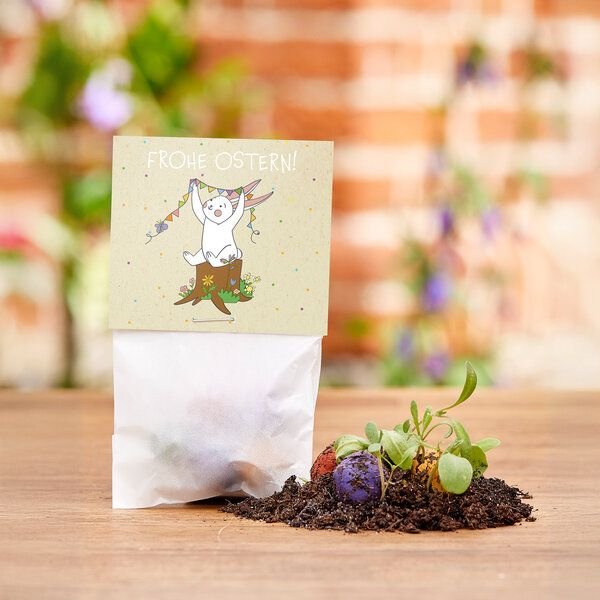 Die Stadtgärtner 10x5 Blumenmurmeln im Tütchen "Osterhase" I Ostergeschenk für Kinder I Kleinigkeit zu Ostern I Geschenk...