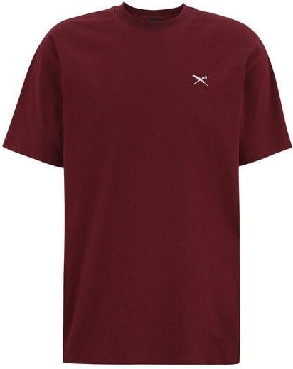 Iriedaily Mini Flag Relaxed Tee