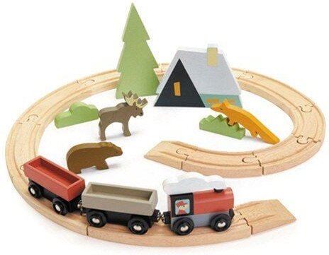 Tender Leaf Toys Eisenbahn - Starter Set für die Kleinen ab 3 Jahre zum Schieben.