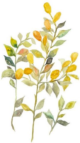 Photocircle Poster / Leinwandbild - Gelbe Beeren