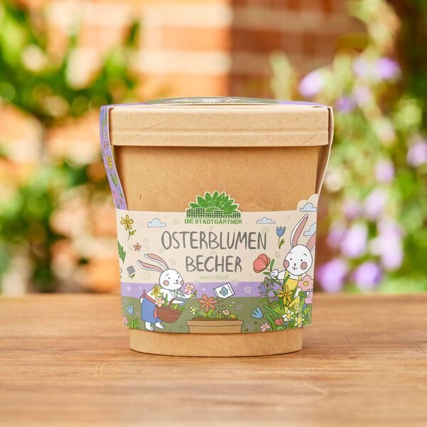Die Stadtgärtner Blümchen aus dem Becher I Ostergeschenk für Kinder, Mama, Papa, Erwachsene I Geschenk für den Frühling