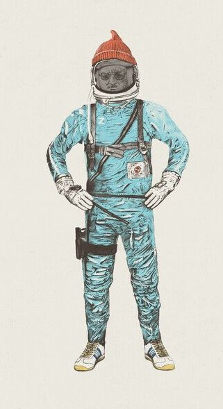 Photocircle Poster / Leinwandbild - Zissou in Space