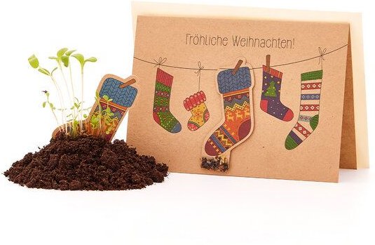 Die Stadtgärtner Nachhaltige Weihnachtskarte zum Einpflanzen mit Socken-Motiv inkl. Umschlag | Grußkarte Weihnachten mit...