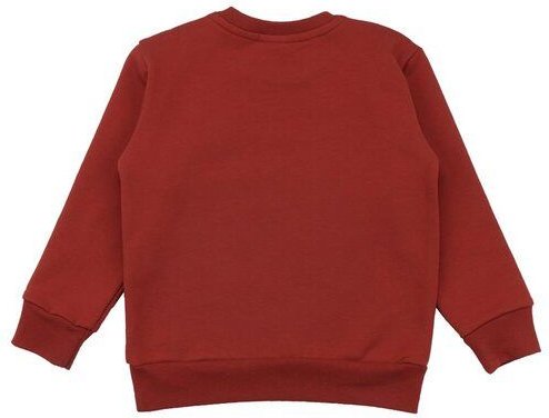 Kinder Sweatshirt GOTS zertifiziert Bio-Baumwolle mit Elasthan, Rostrot, Walkiddy