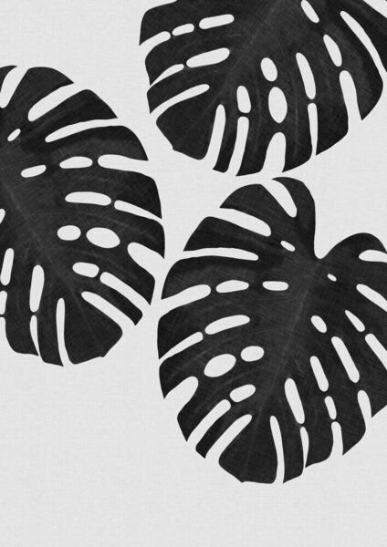 Photocircle Wandbild / Kunstdruck / Poster / Leinwand - Monstera Leaf Black & White III
