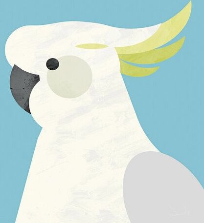 Photocircle Poster / Leinwandbild - Parrot