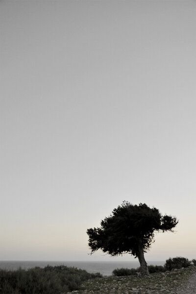 Photocircle Poster / Leinwandbild - Calm View