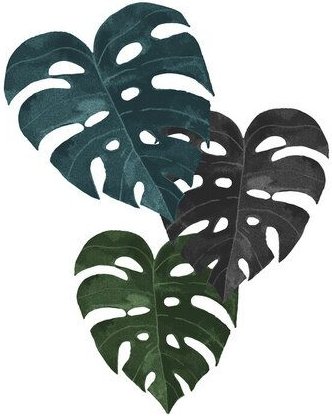 Photocircle Poster / Leinwandbild - Monstera