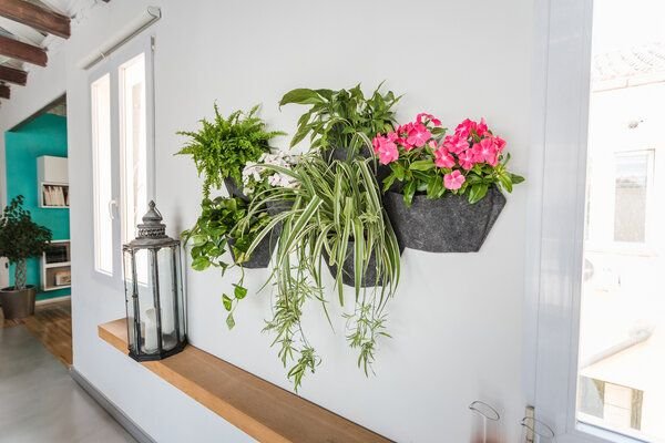 CitySens 6er-Pack Wand-Blumentopf mit Textilbezug und automatische Bewässerung