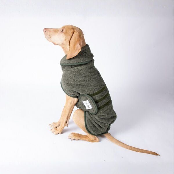 Caruso Conscious Pet Supply Hundebademantel - Waldgrün - doppellagig und saugstark - Bio-Baumwoll Mix