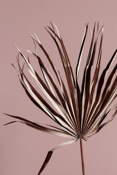 Photocircle Poster / Leinwandbild - Last Summer 19X