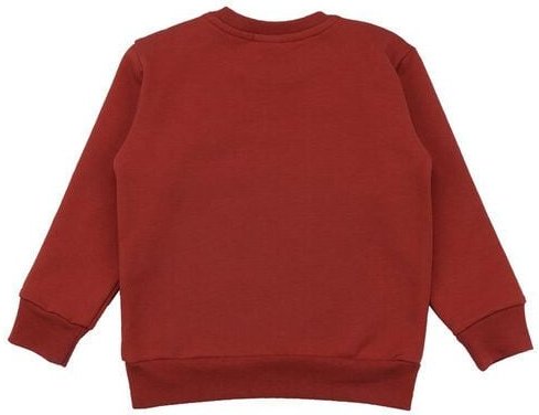Kinder Sweatshirt GOTS zertifiziert Bio-Baumwolle mit Elasthan, Rostrot, Walkiddy