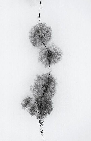 Photocircle Poster / Leinwandbild - trees at a snowy ICE STREAM