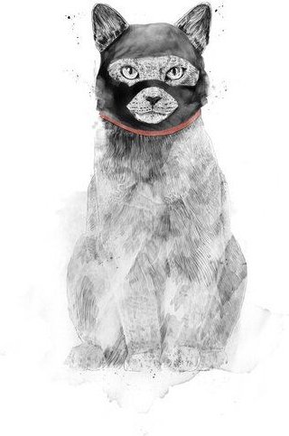 Photocircle Poster / Leinwandbild - Masked cat