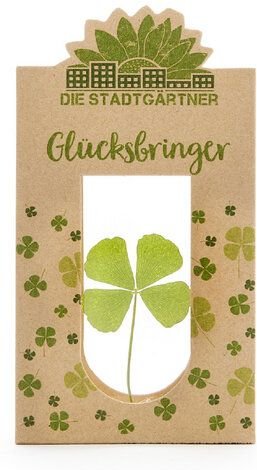 Die Stadtgärtner Glücksbringer I Echtes vierblättriges Kleeblatt als Talisman-Geschenk
