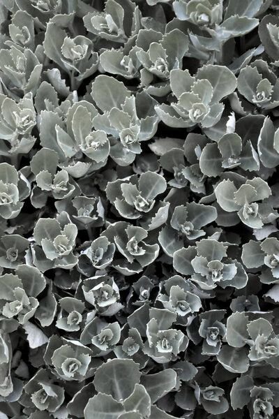 Photocircle Poster / Leinwandbild - Spot the Drop