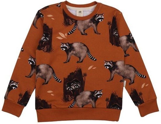 Kinder Sweatshirt GOTS zertifiziert, 95% Bio-Baumwolle, braun, Waschbär-Muster, weich & bequem – Walkiddy