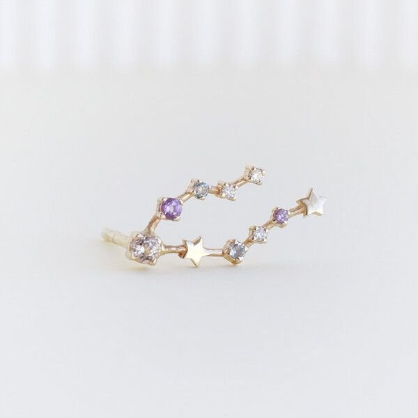 Eppi Ohrringe mit Sternzeichen Pisces