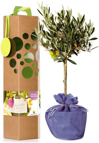 SchenkeinBäumchen Wunschbaum