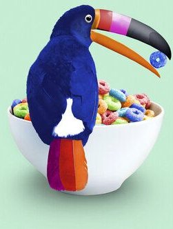 Photocircle Wandbild / Kunstdruck / Poster / Leinwand - Cornflakes Tukan