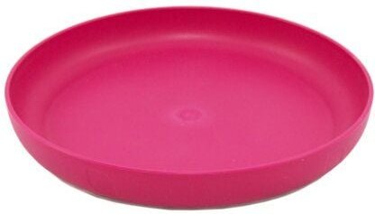 ajaa Bunter Teller aus Zuckerrohr