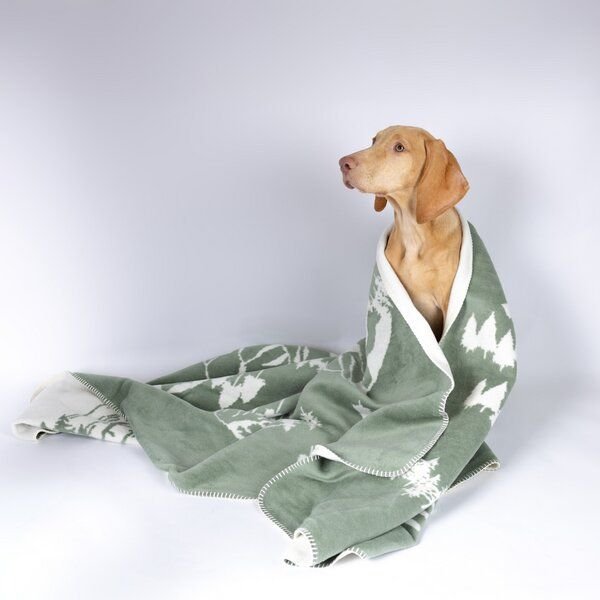 Caruso Conscious Pet Supply Wohn- und Hundedecke - Wald - aus recyceltem Baumwollmix