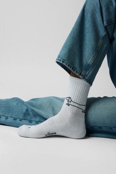 ettics studio sock sausage dog