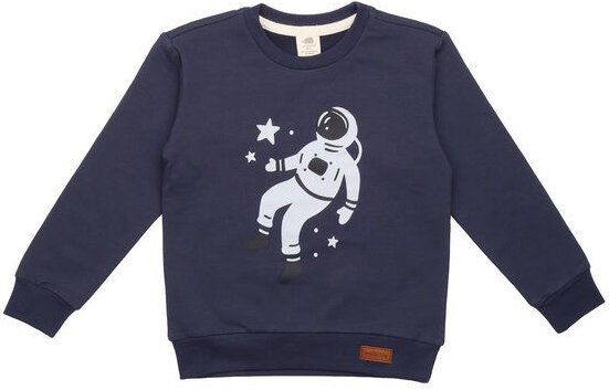 Baby Sweatshirt GOTS zertifiziert Bio-Baumwolle Blau Rundhals mit Motivprint bequem weich – Walkiddy