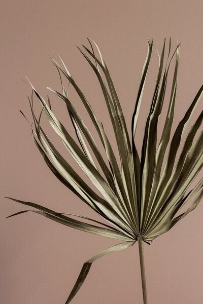 Photocircle Poster / Leinwandbild - Last Summer 19