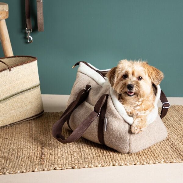 nahtur-design Hundetasche Beige – 100 % Schurwolle Loden