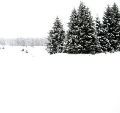 Photocircle Poster / Leinwandbild - White White Winter 2/2