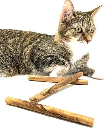 Thumbnail - Olivenholz erleben Kauknochen aus Olivenholz für kleine Hunde oder Katzen (3er Set)