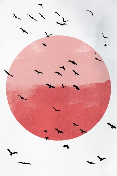 Photocircle Poster / Leinwandbild - Flying High 2X