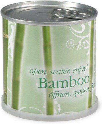 MacFlowers Blumen in der Dose - Bambus - Bamboo