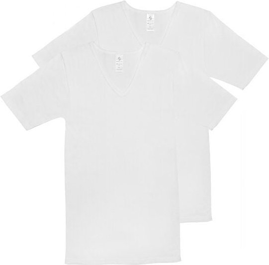 Haasis Bodywear Herren Basic Shirt V-Ausschnitt Feinripp 2er Pack