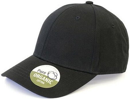 Basecap Organic Cotton Brain Waves 6 - Panel Cap Kappe Unstructured