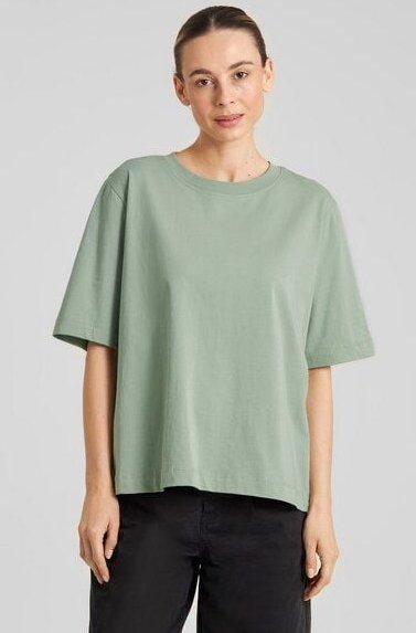 DEDICATED T-Shirt aus Bio-Baumwolle "Vadstena Base"