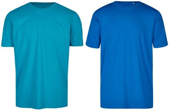 Brandless Basic Bio T-Shirt (Men Nr.3 ) Doublepack GOTS