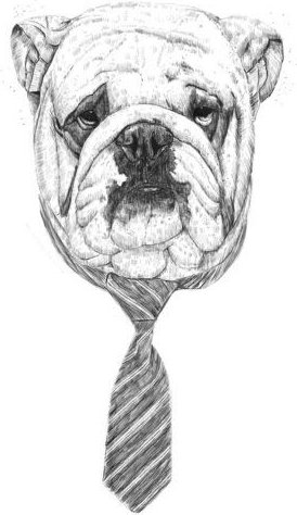 Photocircle Poster / Leinwandbild - Cooldog