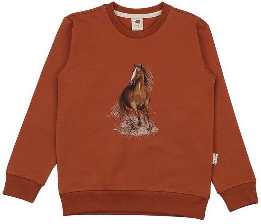Walkiddy Graceful Horses-Sweatshirt